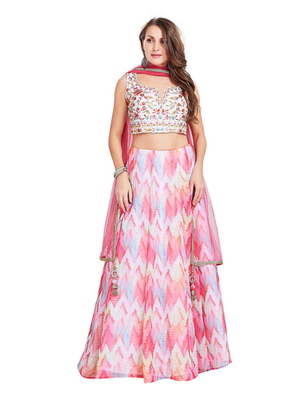 Pink Sequin Studded Chevron Stripe Lehenga Set-AariAmi Boutique