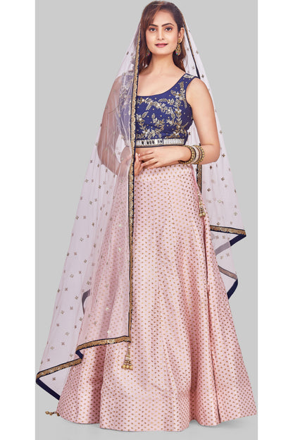 Stunning Pink and Blue Lehenga Set-AariAmi Boutique